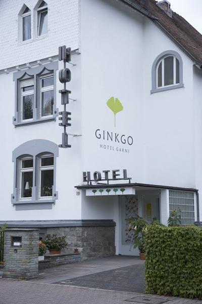 Ginkgo Hotel โอเบอร์อูร์เซิล ภายนอก รูปภาพ